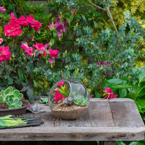 Vista 3 de Zerodeko 3 piezas de terrario de vidrio globo tazón terrario floral contenedor de burbujas transparentes plantador hidroponía maceta de vidrio