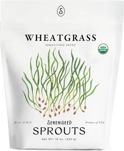 Vista 5 de Semillas de alfalfa orgánicas para brotes (16 oz) – Sin OMG, semillas de herencia para brotes y microverdes