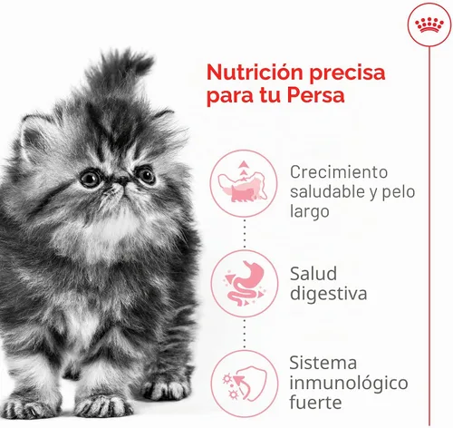 Vista 4 de Royal Canin Feline Breed Nutrition Persian Kitten Dry Cat Food, 3 lb Bag