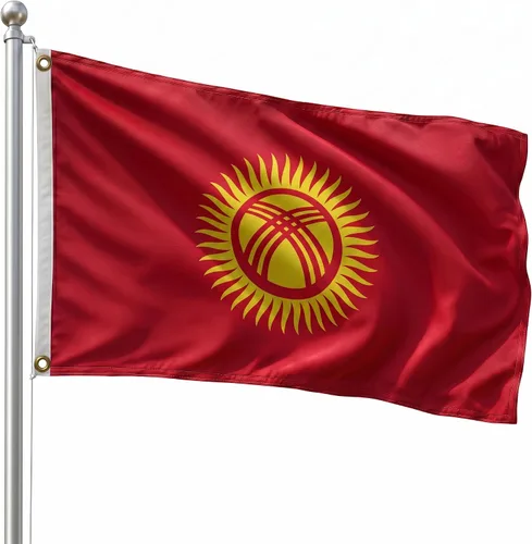 Vista 195 de DMSE - Bandera nacional beninesa beninesa de la República de África Occidental, 2 x 3 pies, 100 % poliéster, 100 % poliéster, resistente a los rayos