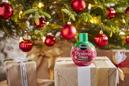 Vista 3 de Miracle-Gro para árboles de Navidad, alimento vegetal, hidrata los árboles y mantiene los árboles de Navidad verdes durante toda la temporada