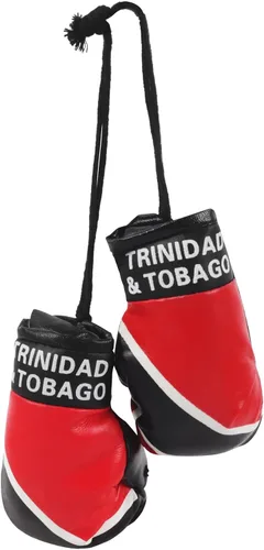 Vista 14 de SandT Collection Guantes de boxeo pequeños con bandera del país - Guantes de boxeo para colgar