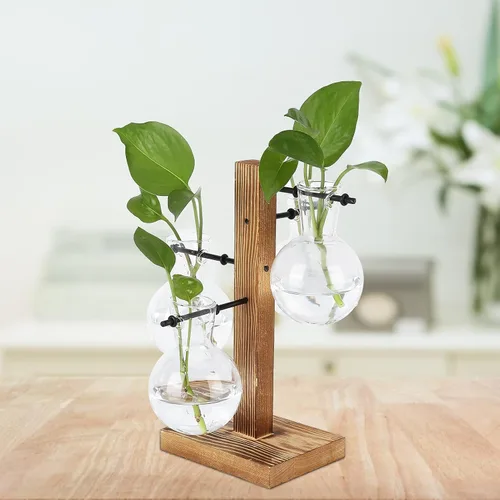 Vista 5 de Asixxsix Terrarios de plantas con soporte de madera, soporte retro para macetas hidropónicas de escritorio con 4 bombillas para propagar plantas