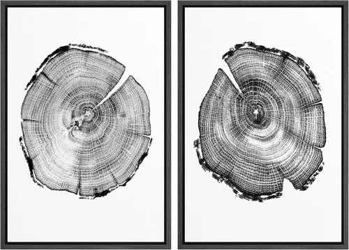 Vista 119 de SIGNWIN Lienzo enmarcado para pared, juego de arte con anillos de árbol de bosque grunge en blanco y negro, ilustraciones de naturaleza silvestre