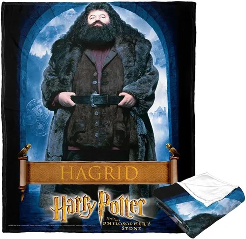 Vista 20 de Northwest Harry Potter - Manta de seda táctil, 50 x 60 pulgadas, All I Want for Christmas