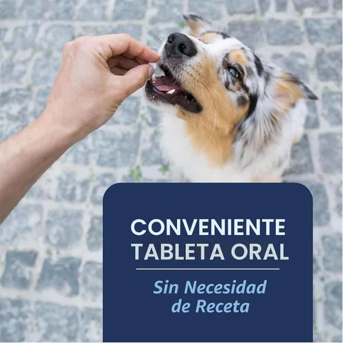 Vista 3 de PetArmor CAPACTION (nitenpiram) Tratamiento oral contra pulgas para perros, tabletas de acción rápida comienzan a matar en 30 minutos, tratamiento