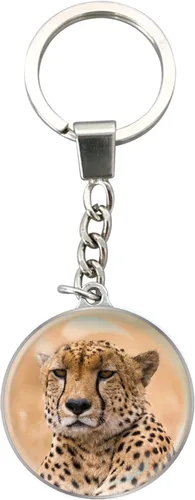 Vista 23 de Deluxebase Magnidome Llavero de domo en forma de cúpula con cadena de acero inoxidable. Llavero de cúpula de cristal Alpaca