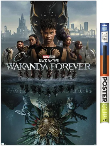 Vista 17 de Marvel Black Panther: Wakanda Forever - Póster de pared de una hoja, 22.4 pulgadas de largo x 14.7 pulgadas de ancho, versión enmarcada de madera