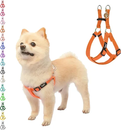 Vista 79 de Pupteck - Arnés para perros sin jalar, suave, ajustable, de nailon, talla básica, chaleco para cachorro, para caminar al aire libre con etiqueta