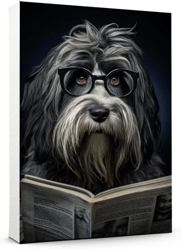 Vista 142 de Thuan Affenpinscher - Póster de lienzo con tus fotos, arte de pared para decoración del hogar, regalo conmemorativo para amantes de las mascotas