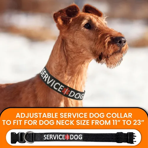 Vista 4 de Tacticollar - Collar de perro de servicio, nailon, ajustable, bordado (XS, 10-12 pulgadas de largo x 1 pulgada de ancho)