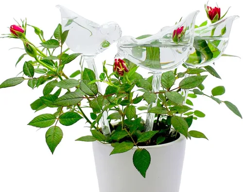 Vista 3 de Globos de riego de plantas de vidrio, globos de riego automático en forma de pájaro, inserto de maceta de riego automático, dispositivos de riego