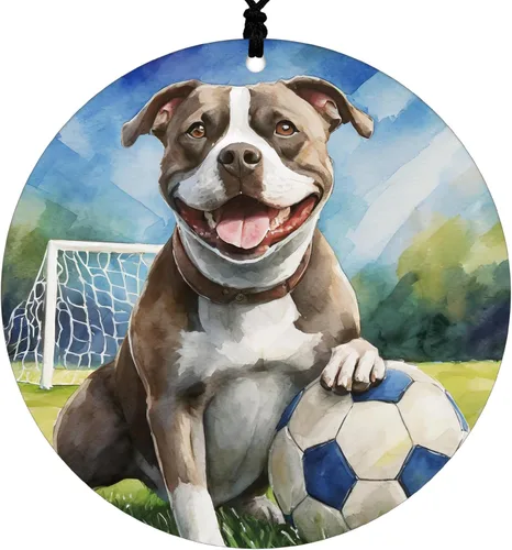 Vista 9 de Adorno de Navidad de Pitbull - Adorno colgante deportivo para el hogar con diseño temático de béisbol - Adorno de disco acrílico 2025 para árbol