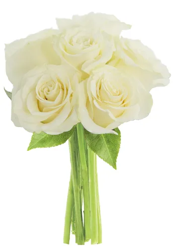 Vista 29 de KaBloom - Rosas arcoíris (media docena)- Flores frescas para cumpleaños, San Valentín y Día de la Madre