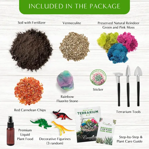 Vista 2 de Creations by Nathalie – Kit premium pequeño de terrario DIY para suculentas, cactus y plantas de aire, incluye tierra, musgo, piedras, herramientas