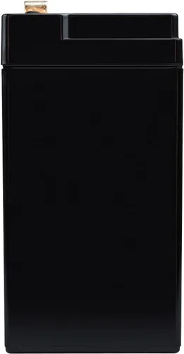 Vista 8 de ExpertPower Terminal F1 de batería de plomo sellada SLA de 6V 12Ah F1/reemplazo para Portalac GS PE6V13 (paquete de 2)