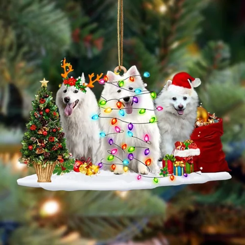 Vista 123 de Nazenti Adorno de Navidad personalizado con amigos Affenpinscher – Adorno de perro personalizado para amantes de las mascotas, acrílico plano