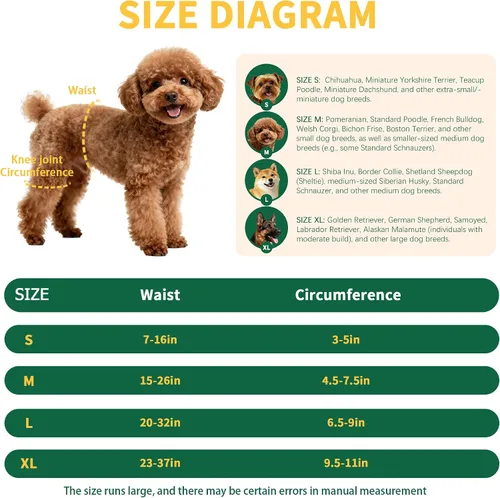 Vista 8 de Aeegee Soporte ortopédico de cadera para perro, soporte de pierna de perro para displasia de cadera, soporte de cadera para perro para aliviar