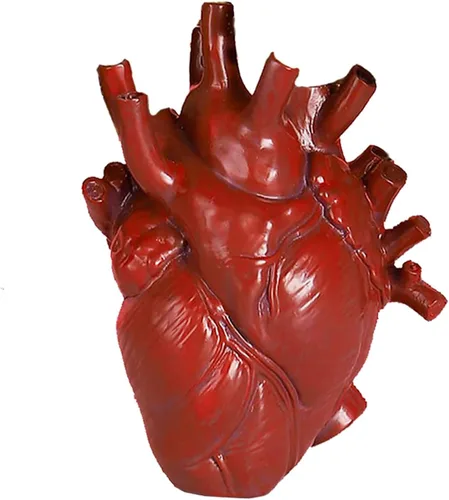 Vista 7 de Jarrón anatómico de corazón – Florero único de resina, jarrones en forma de corazón rojo para esculturas de flores, decoración del hogar, maceta