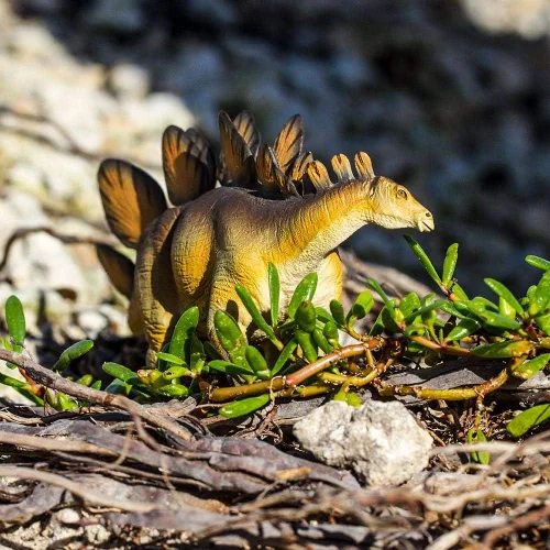 Vista 7 de Safari Ltd. Stegosaurus - Figura icónica modelo de dinosaurio de 8.5 pulgadas, juguete divertido y educativo para niños, niñas y niños a partir de 3