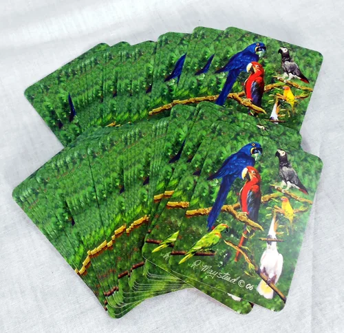 Vista 2 de Mejores amigos de Ruth Maystead Bird Art Poker naipes, loro, cacatúa, guacamayo