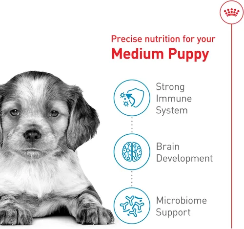 Vista 3 de Alimento seco Royal Canin para cachorros, medianos