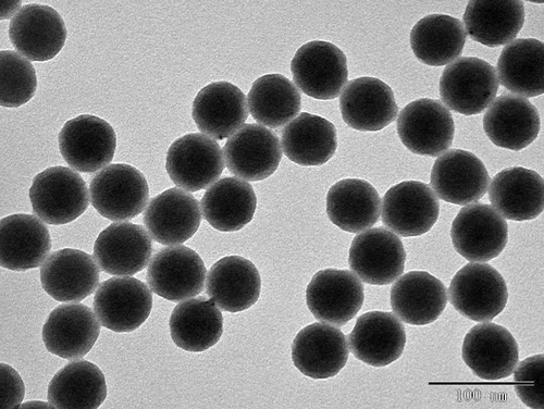 Vista 2 de Nanopartículas de sílice coloidal Alpha Nanotech (CV < 3%, 20 nm - 20 um) (5 um, 10 mg/ml)