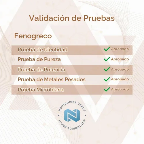 Vista 8 de Nootropics Depot Cápsulas de extracto de fenogreco 500 mg 60 ct 3% de trigonelina, 1% de protodioscina Trigonella foenum-graecum Estado