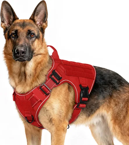 Vista 58 de rabbitgoo - Arnés táctico para perros pequeños, arnés resistente para mascotas con asa, chaleco de servicio sin tirones para razas pequeñas, chaleco