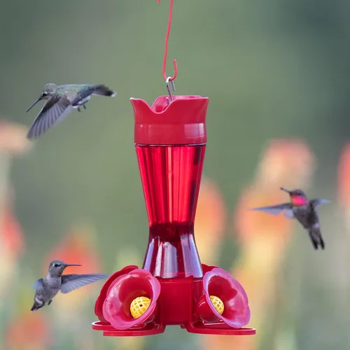 Vista 2 de Perky-Pet 403CP - Comedero de plástico para colibríes, 8 onzas, rojo (paquete de 6)