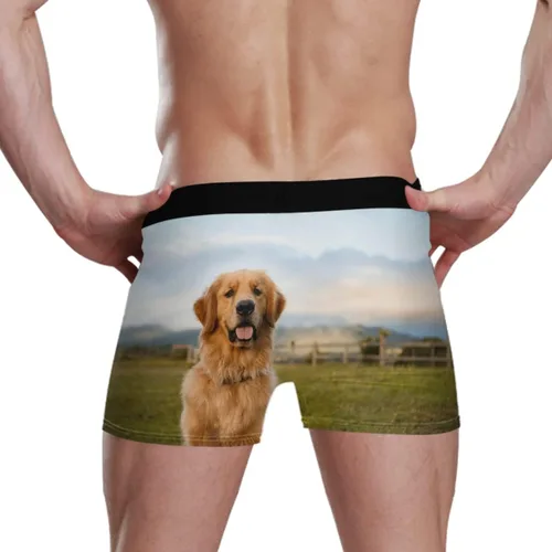 Vista 3 de FORMRS Llama - Calzoncillos tipo bóxer para hombre, diseño de alpaca y suave