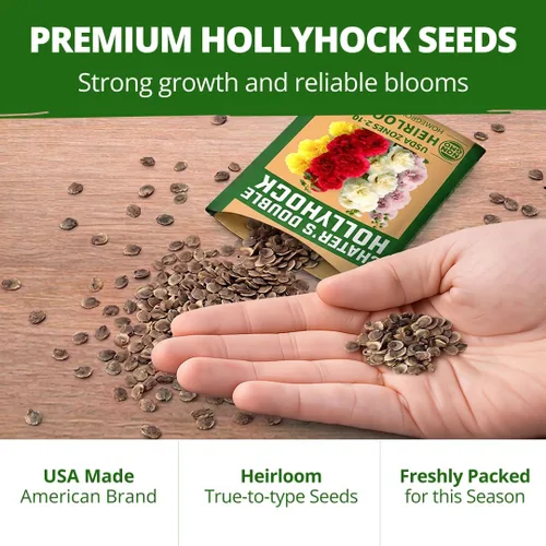Vista 352 de HOME GROWN Semillas de Hollyhock de doble mezcla de Chater, 200 semillas