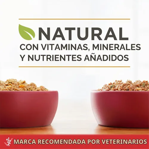 Vista 3 de Purina ONE - Paté natural, Paquete variado de comida húmeda enlatada para perros, SmartBlend Chicken Entree & Beef Entree - (6) latas de 13 oz.