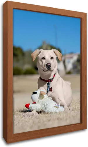 Vista 23 de Impresiones en lienzo personalizadas con tus fotos para mascotas, impresiones de fotos familiares, lienzo personalizado, aleación de aluminio, arte