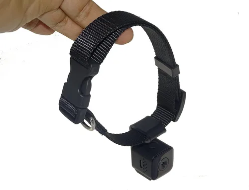 Vista 8 de Monitor del grabador de vídeo de la cámara DVR del collar del animal doméstico de Digitaces para el cachorro del gato