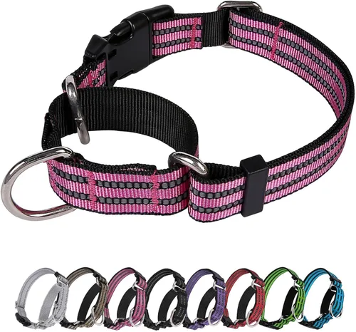 Vista 24 de Martingale - Collar reflectante de nailon ajustable con hebilla de liberación rápida, collares de entrenamiento para perros pequeños, medianos
