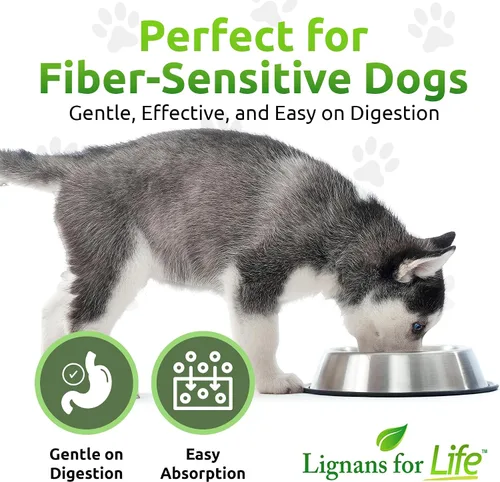 Vista 5 de Lignans For Life HMR LIGNANS Cápsulas de 10 mg – Perfecto para razas de perros pequeños – Vitamina para mascotas sanas Multivitamínico