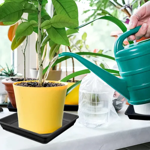 Vista 7 de 10 platillos cuadrados de plástico para plantas, maceta de 8 pulgadas, bandeja de goteo de plástico grueso para jardín, goteos de agua y tierra
