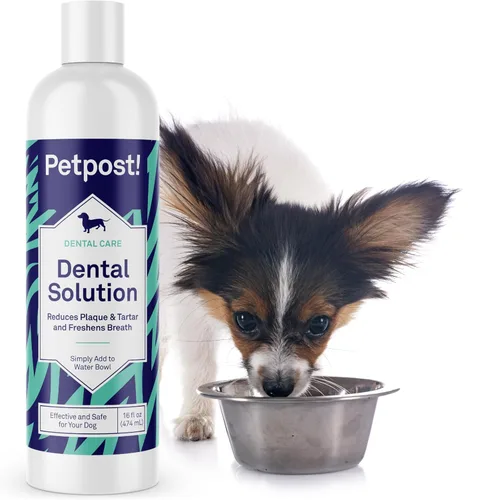 Vista 10 de Petpost Fresh Breath Foam for Dogs - Solución dental con sabor a menta y manzana que elimina el mal aliento - Tratamiento de limpieza dental