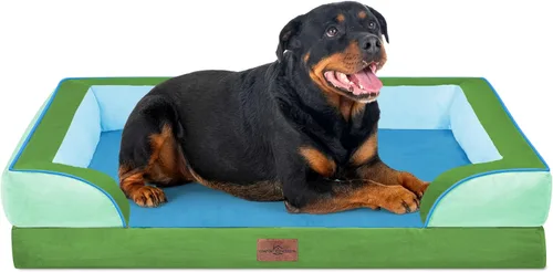 Vista 66 de Comfort Expression - Cama ortopédica para perros medianos, 28 x 19 pulgadas, cama impermeable y de apoyo de espuma con cojines removibles, sofá