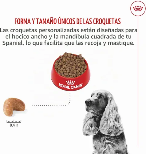 Vista 5 de ROYAL CANIN Cocker Spaniel Alimento seco para perros adultos, bolsa de 6