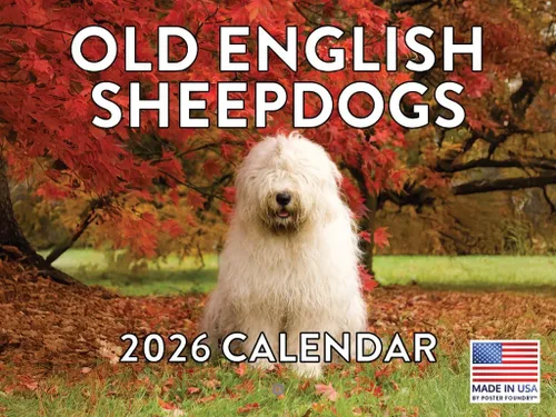 Vista 34 de Calendario mensual de pared Airedale Terrier Dog 2027 rojo (Airedale Terrier)