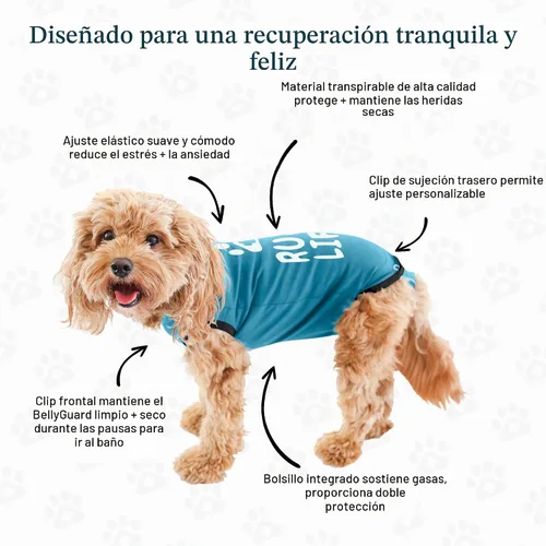 Vista 4 de BellyGuard Traje de recuperación de cirugía para perros, mameluco para perros para cuidado posoperatorio, ropa de recuperación para hembras