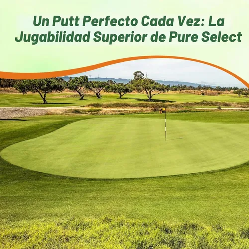 Vista 6 de Outsidepride Pure Select - Semilla de césped doblada rastrera – 1 libra de césped premium para poner verduras, camisetas y calles, semillas