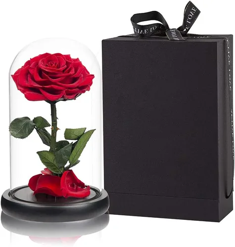 Vista 7 de Rosas preservadas, rosas negras en cúpula de cristal, medianas, flores preservadas para el día de la madre, regalos para mujeres Negro