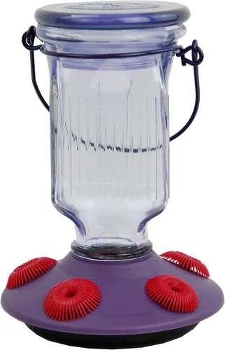 Vista 8 de Perky-Pet 476 Alimentador de colibrí de vidrio de 20 onzas