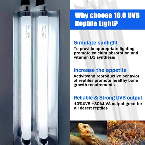Vista 4 de Celiwace T5 - Kit combinado de lámpara de reptil de 16 vatios, luz UVB de 12 pulgadas, 2 x 8 vatios, lámpara de reptil T5 10.0 UVB, luz de reptil