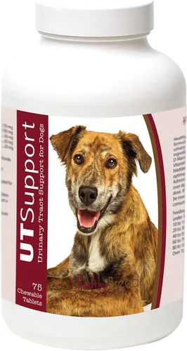 Vista 9 de Healthy Breeds Afghan Hound Cranberry Chewables 75