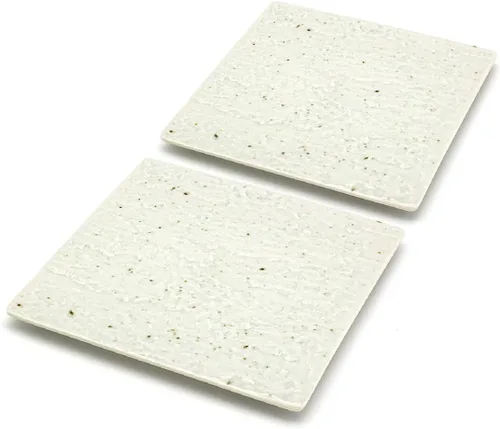 Vista 7 de TIKUSAN Platos para servir, juego de 2 platos cuadrados hechos en Japón, platos de cerámica para cenas, fiestas, restaurantes para aperitivos