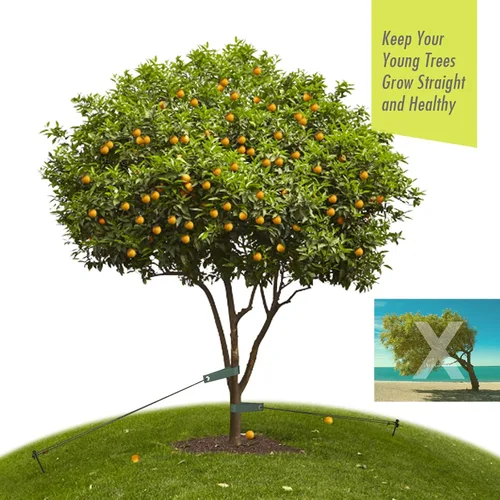 Vista 4 de Kit de estacas de árbol resistente, estacas de acero de 11.8 pulgadas y soportes para árbol joven, antiviento fuerte, kit de enderezamiento
